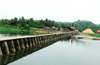 Can pollution in Phalguni river be controlled ?
